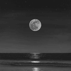 Meet your Posher, Phoebe